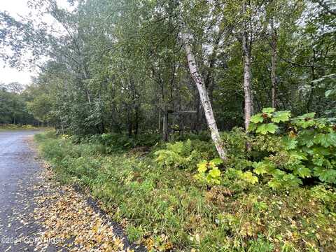 L2 Marlene Avenue, Kenai, AK 99635