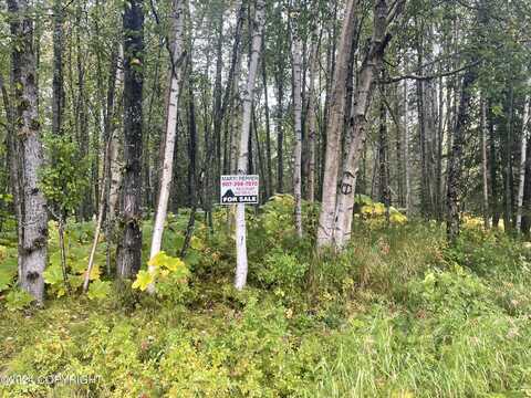 L17 Myron Avenue, Kenai, AK 99635