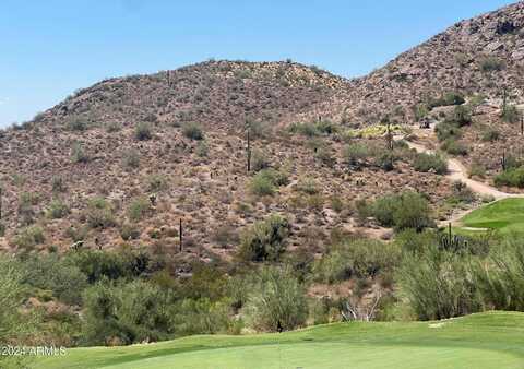 9029 E AVENIDA FIEBRE DE ORO --, Gold Canyon, AZ 85118