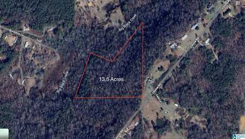 0 LEVINE ROAD, ODENVILLE, AL 35120