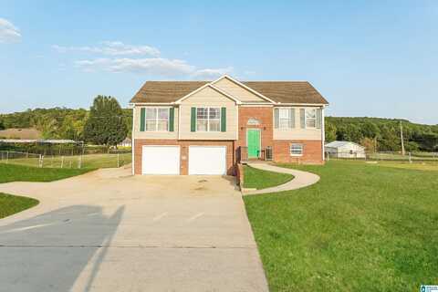 249 DEER CROSSING ROAD, WARRIOR, AL 35180