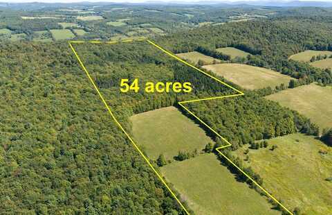 Lot 4 Warren Road, Meredith, NY 13753