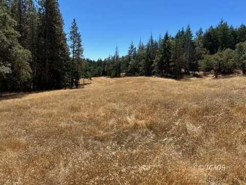 227 Bluff Creek Rd, Kettenpom, CA 95595