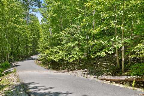 Lot 203 Deep Woods Drive, Dunlap, TN 37327