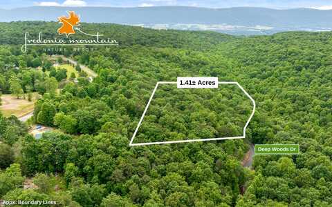 Lot 205 Deep Woods Drive, Dunlap, TN 37327