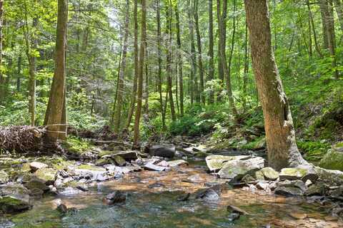 Lot 547 Wilderness Way, Dunlap, TN 37327