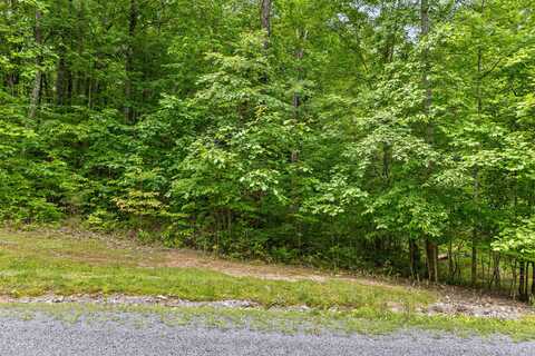 Lot 534 Wilderness Way, Dunlap, TN 37327