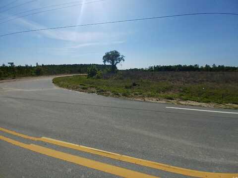 Lot 3 MW Stroud Rd., Nichols, SC 29581