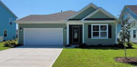 820 Hibernation Way, Conway, SC 29526