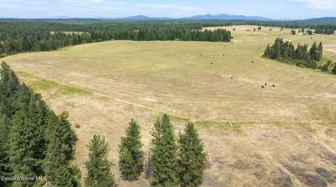 1605 Jasmine Ln, Parcels 14 & 15, Weippe, ID 83553