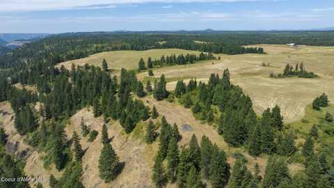 1605 Jasmine Ln, Parcels 16 & 17, Weippe, ID 83553