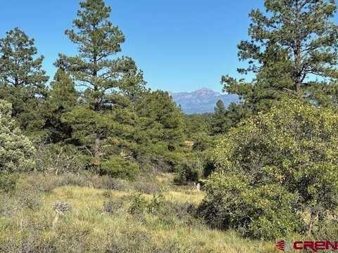 50 Eiffel Court, Pagosa Springs, CO 81147