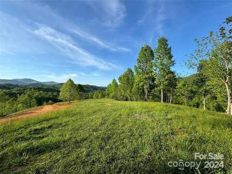 Tbd Waterfall Ridge Drive, Hendersonville, NC 28792