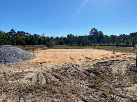 4910 Blue Springs (Lot 12) Road, Red Springs, NC 28377