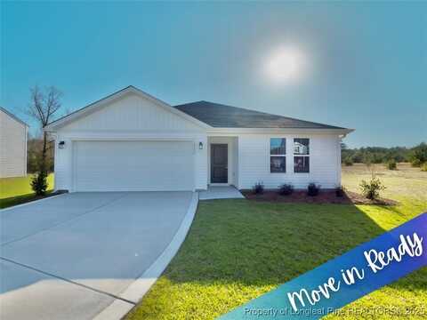 4992 Blue Springs (Lot 11) Road, Red Springs, NC 28377