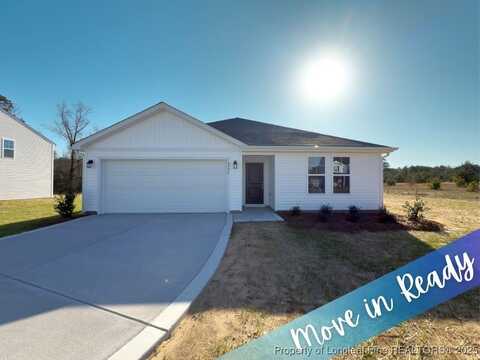 4992 Blue Springs (Lot 11) Road, Red Springs, NC 28377