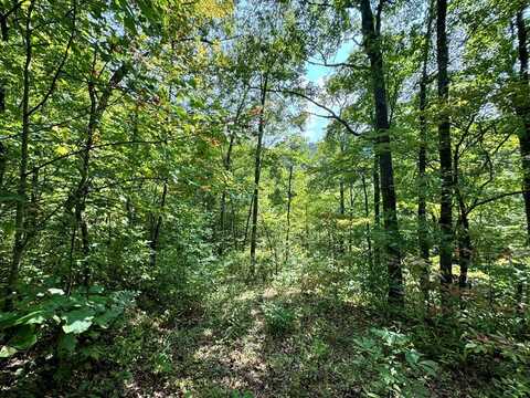 Lot 34 Black Walnut St., Bryson City, NC 28713