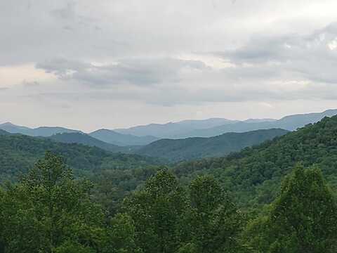 316 Majestic Mountain View, Bryson City, NC 28713