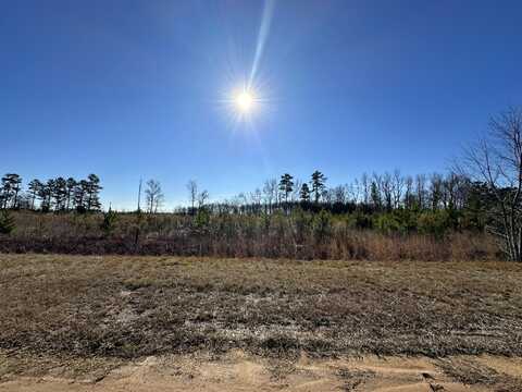 Lot 6 TRIANGLE Road, Louisville, GA 30434