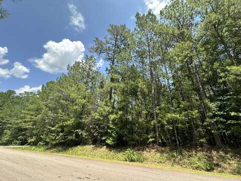 B64 L24 TWILIGHT Lane, Mc Cormick, SC 29835
