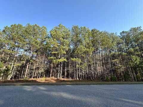 1147 1153 WATERSEDGE Cove, Tignall, GA 30668