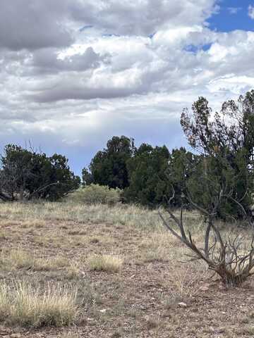 Lot 95 Abbe Springs, Magdalena, NM 87825