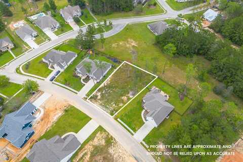 Lot 98 S. Founders Way, Hattiesburg, MS 39401