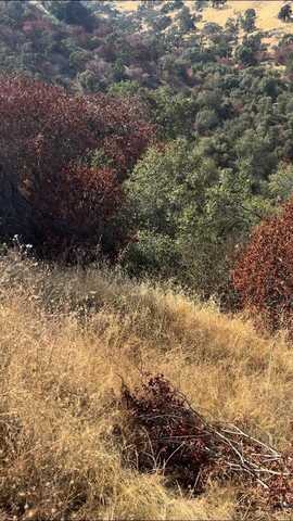 0 Lot 246 Ruth Hill Rd, Squaw Valley, CA 93675