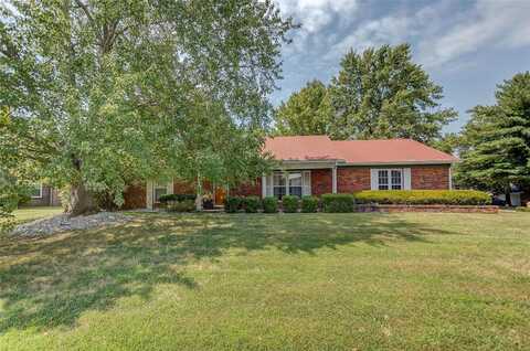 48 Blanc Lee Drive, Belleville, IL 62226