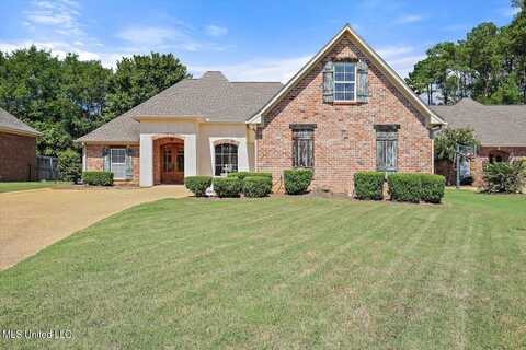 307 Lacoste Court, Brandon, MS 39047