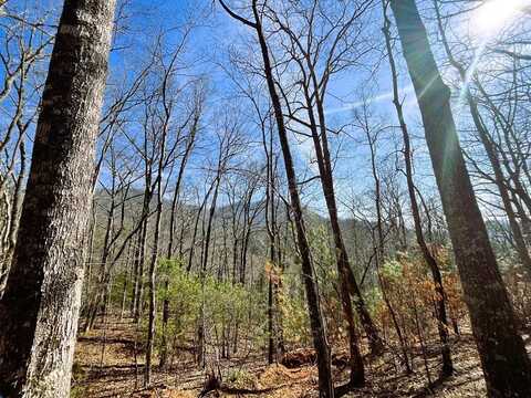 00 Nelson Ridge, HAYESVILLE, NC 28904