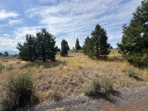 Sundance Drive, Chiloquin, OR 97624