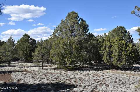 1385 E Birchwood Drive, Williams, AZ 86046