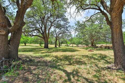 210 N William Street, Buffalo Gap, TX 79508