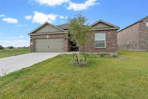 1817 Atwood Drive, Anna, TX 75409