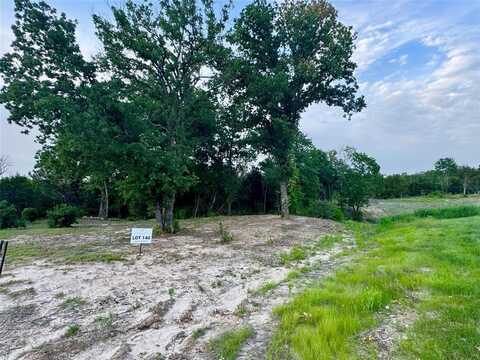 1017 Cedar Hill Drive, Nemo, TX 76070