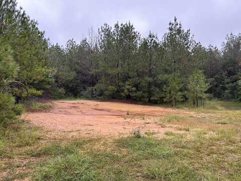 0 Jupiter Rd, Mendenhall, MS 39114