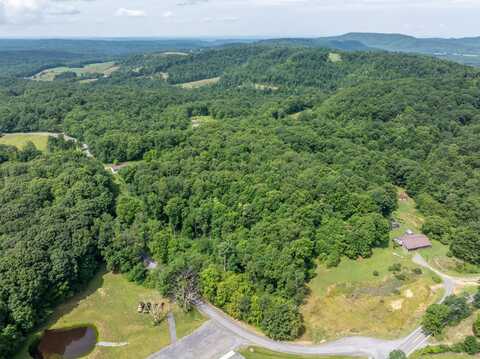 0 Alaska Mountain Road, Meadow Bridge, WV 25976