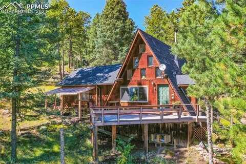 913 Sioux Road, Florissant, CO 80816