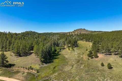 11068 Trail Creek Road, Divide, CO 80814