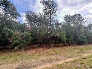 undefined, Crystal River, FL 34428