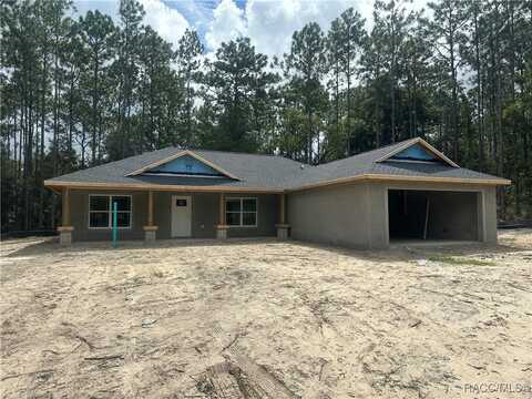 9911 N Langdon Road, Citrus Springs, FL 34434