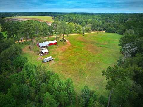 1247 BIG CREEK RD, Meigs, GA 31765