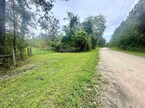 14190 Mt Gilead Road, GREENVILLE, FL 32331