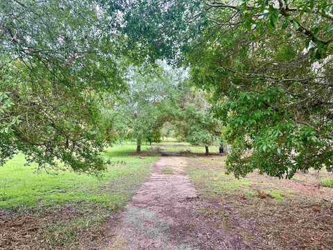 14095 Mt Gilead Road, GREENVILLE, FL 32331