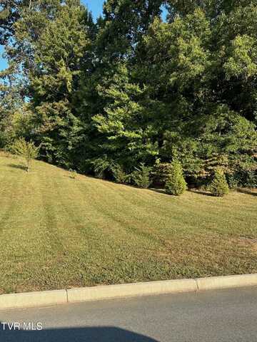 Lot 2 Sylvias Meadow, Jonesborough, TN 37659