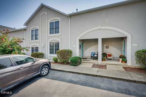 163 Bentley Parc, Johnson City, TN 37615