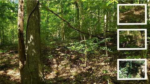 7.22ac Livingston Hwy, Celina, TN 38551