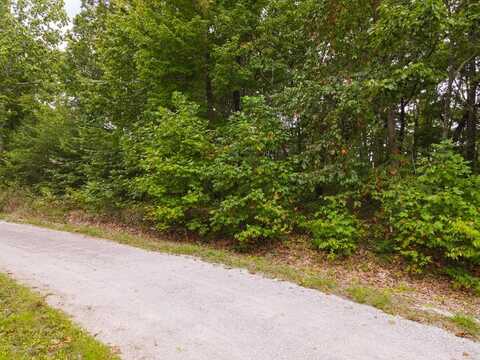 LOT 16 Eagles Bluff Cir, Spencer, TN 38585