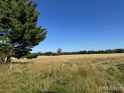 17+ ac US 141, Crystal Falls, MI 49920